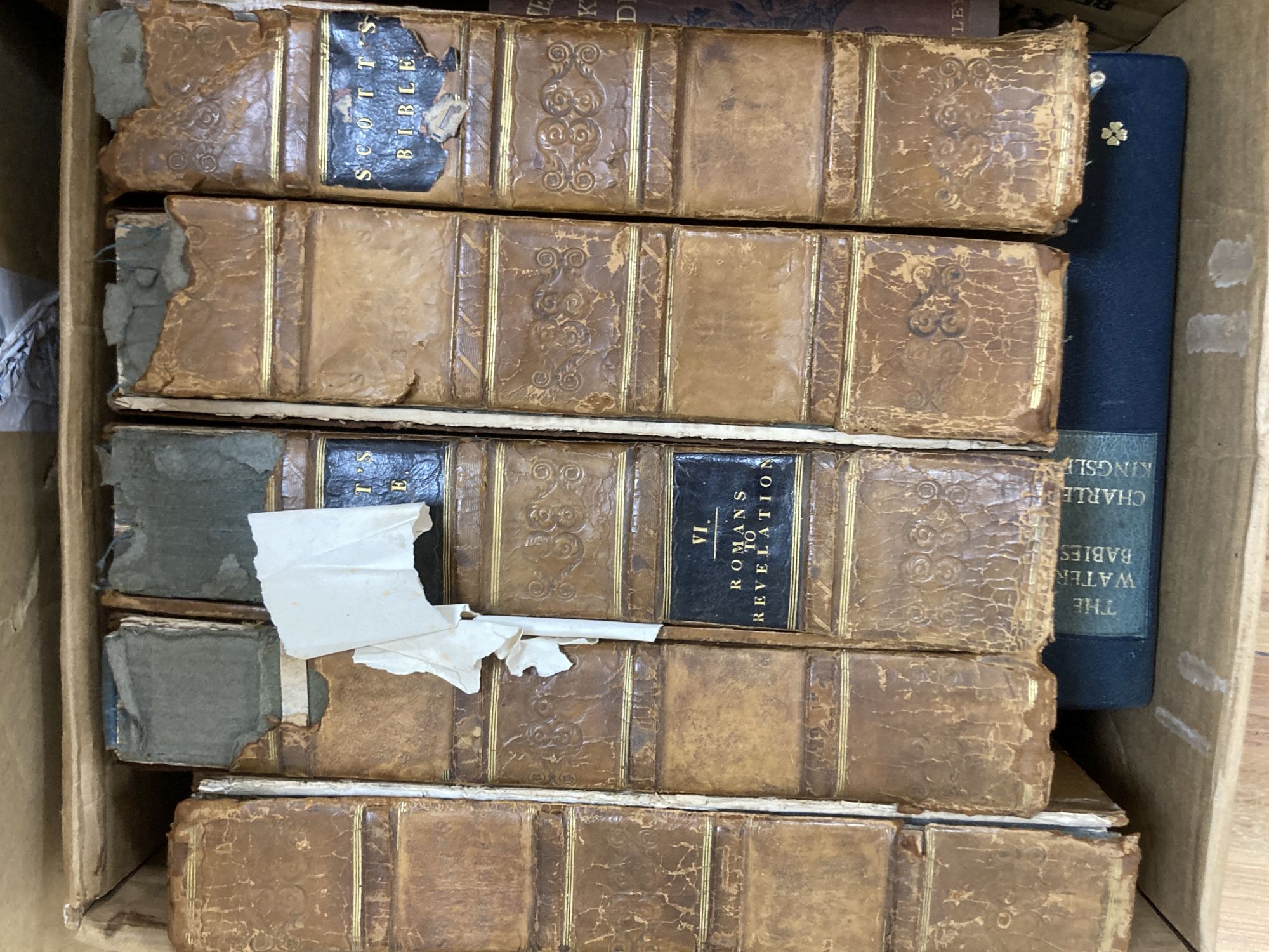 A collection of books, including bibles, childrens, Sussex-related, HMSO, etc.